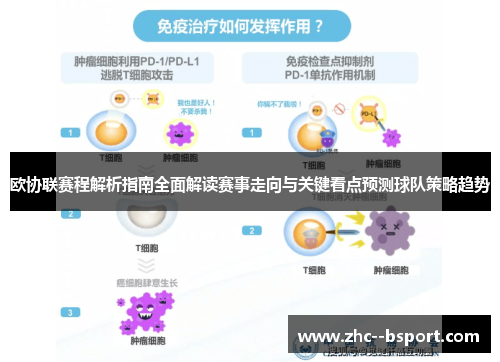 欧协联赛程解析指南全面解读赛事走向与关键看点预测球队策略趋势